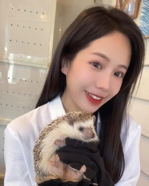 Hami Chiang Instagram - 跑了東京🇯🇵四家動物咖啡廳～
有豬豬🐽水豚🐗水獺🦦貓頭鷹🦉跟他們玩的超開心
好想跟你們仔細分享哪些值得去，哪些可以把錢省下來
但還在發懶，沒動力剪片🐷 除非有人超想看？

每次出國前，少不了 @eddyde1208
半年沒整理頭髮，出去玩一定要美美
始終如一的髮根燙➕頂級女神鉑金護髮，
試過才會懂，我怎麼五年來都只做一樣的
好打理跟動物們混在一起，也能保持水亮亮的～

🗺️中和區興南路一段85巷13號
#台北燙髮 #发 #染髮 #燙髮  #instalike#outfit#fashion #파마하다 #염색하다 #デザインパーマ #ロング #ヘアカラー#パーマ #tokyo #動物咖啡廳 #photography #街拍 #刺蝟 #ハリネズミ #hedgehog