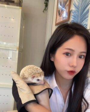 Hami Chiang Instagram - 跑了東京🇯🇵四家動物咖啡廳～
有豬豬🐽水豚🐗水獺🦦貓頭鷹🦉跟他們玩的超開心
好想跟你們仔細分享哪些值得去，哪些可以把錢省下來
但還在發懶，沒動力剪片🐷 除非有人超想看？

每次出國前，少不了 @eddyde1208
半年沒整理頭髮，出去玩一定要美美
始終如一的髮根燙➕頂級女神鉑金護髮，
試過才會懂，我怎麼五年來都只做一樣的
好打理跟動物們混在一起，也能保持水亮亮的～

🗺️中和區興南路一段85巷13號
#台北燙髮 #发 #染髮 #燙髮  #instalike#outfit#fashion #파마하다 #염색하다 #デザインパーマ #ロング #ヘアカラー#パーマ #tokyo #動物咖啡廳 #photography #街拍 #刺蝟 #ハリネズミ #hedgehog