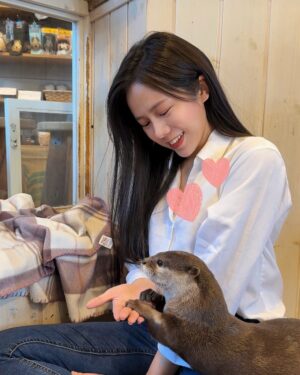 Hami Chiang Instagram - 跑了東京🇯🇵四家動物咖啡廳～
有豬豬🐽水豚🐗水獺🦦貓頭鷹🦉跟他們玩的超開心
好想跟你們仔細分享哪些值得去，哪些可以把錢省下來
但還在發懶，沒動力剪片🐷 除非有人超想看？

每次出國前，少不了 @eddyde1208
半年沒整理頭髮，出去玩一定要美美
始終如一的髮根燙➕頂級女神鉑金護髮，
試過才會懂，我怎麼五年來都只做一樣的
好打理跟動物們混在一起，也能保持水亮亮的～

🗺️中和區興南路一段85巷13號
#台北燙髮 #发 #染髮 #燙髮  #instalike#outfit#fashion #파마하다 #염색하다 #デザインパーマ #ロング #ヘアカラー#パーマ #tokyo #動物咖啡廳 #photography #街拍 #刺蝟 #ハリネズミ #hedgehog