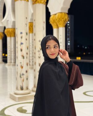 Hansika Krishna Instagram - 🌙🕌

@szgmc_ae @visitabudhabi 
How are you doing?