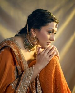 Actress Hansika Motwani HD Photos and Wallpapers February 2025