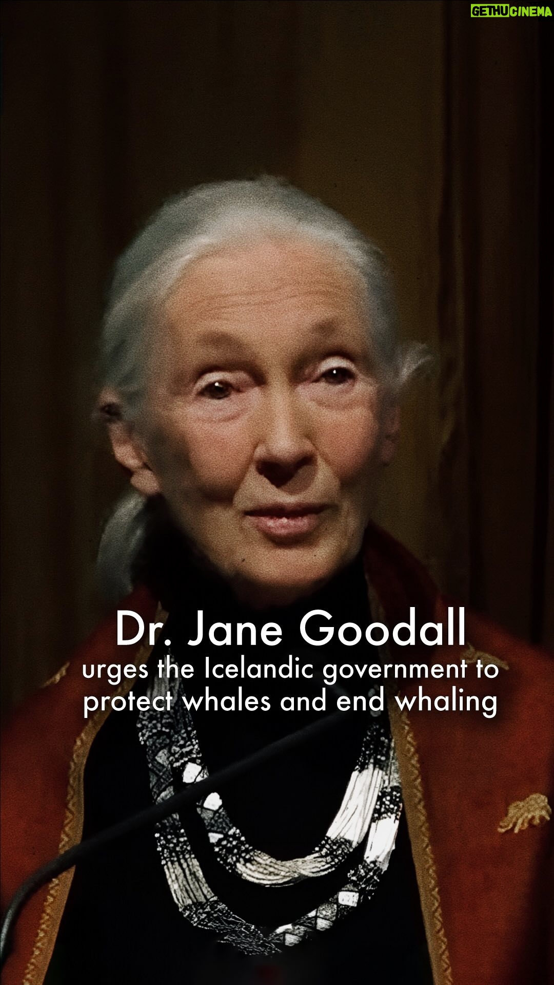 Hera Hilmar - 42.8K Likes - Renowned English ethologist and conservationist, Dr. Jane Goodall, urges the Icelandic government, @bjarnibenediktsson and @hallatomas to protect whales, and end whaling.
Thank you to Louis Garcia and colleagues at the Jane Goodall Institute for responding so quickly to this urgent issue.
#Janegoodall #Iceland #finwhales #whales #ocean #environment #climatecrisis #biodiversity #biodiversitycrisis
@janegoodallinst