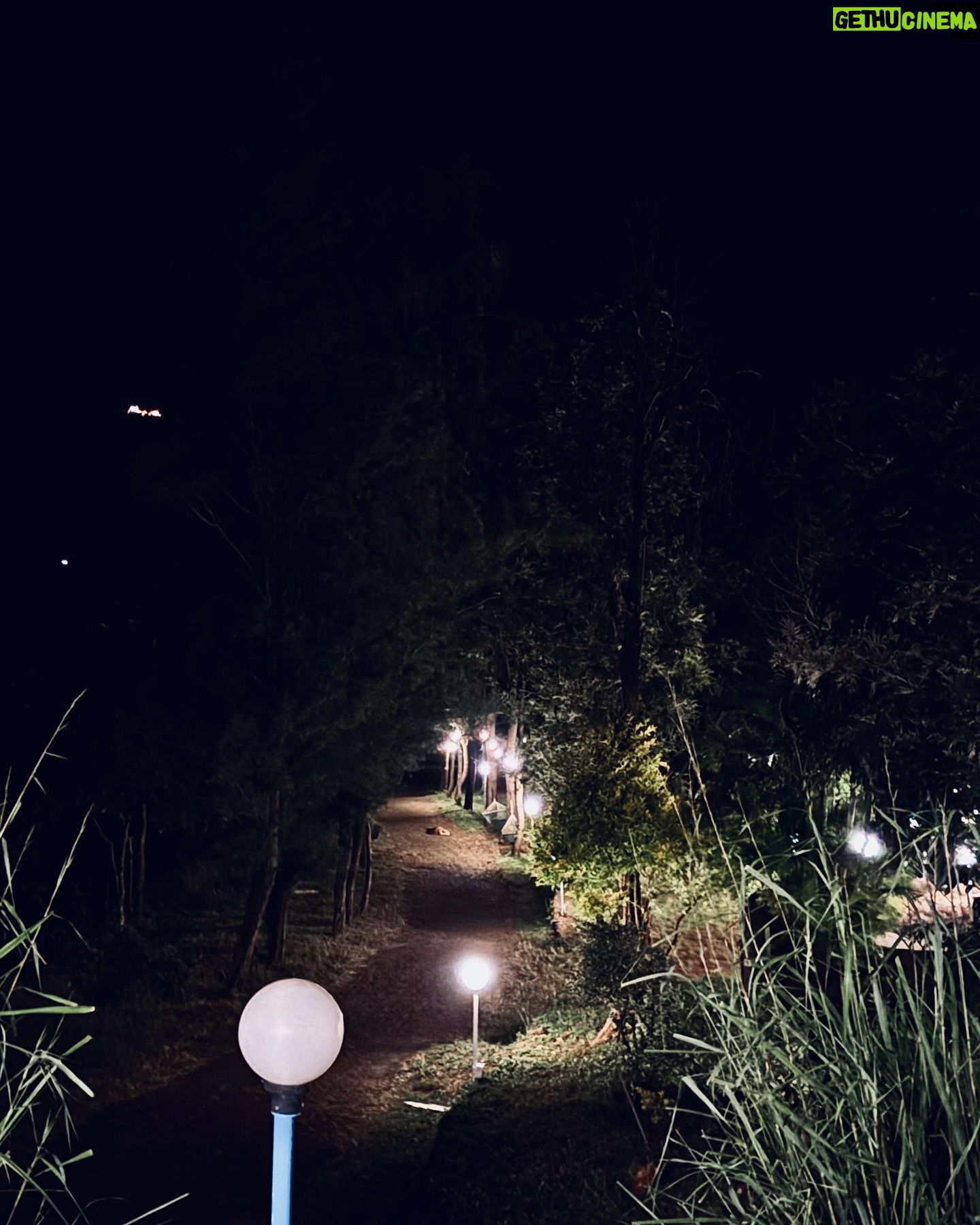 Hetal Gada - 5.4K Likes - Spent my weekend at Gypsy Soul and it felt like hitting pause on life for a bit. 🌄✨
Bonfire nights, stargazing sessions, live music that hits just right, and open-air movies under a starry sky – I didn’t want the weekend to end! From misty mornings to sunset hikes and cozy tents that make you forget you’re out in the wild, this place has its own magic.
If you’re looking for a chill spot to reconnect with nature, good vibes, and yourself… this hilltop escape is it. Can’t wait to be back for more BBQ, midnight Maggi, and soulful tunes by the fire. 🌌🎶🔥
Gypsy Soul, you were a dream. 🌿
@tribegypsysoul
#WeekendVibes #GypsySoul #HilltopEscape #GlampingGoals #UnwindAndReconnect