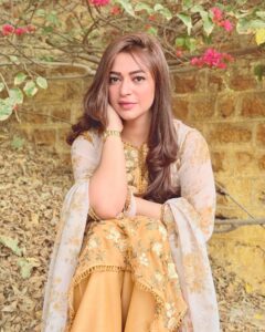 Actress Hiba Ali Khan HD Photos and Wallpapers February 2025