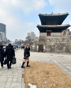 Hiccorohee Instagram - 美紀とソウル
「買い物したいからショッピング街のある東大門ついてきて」と言われて
ついてったらショッピング街でもなんでもないほんまの門みたいなんに着いた日
@inadamikisan