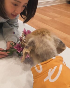 Huang Weiting Instagram - 『誒…我看到花的時候，好開心喔…』
這是正要開始的2025，聽到第一句
最浪漫、最真心的話了
-
我也覺得你很適合放花在家裡。
-
可愛的今年一月日子🫶🏻
一個人在台南散步的完美時光
-
最愛的香水
在9吧吃泡麵太chill很愛
鐵妹們，我們要一起老
-
我的好朋友們
不是咖啡色就是橘色🤎🧡
阿盧 @lukahsusis 、虎皮、忍者、王子ozzy @theamazingozzy 
-
「下個月你有最想聽到的一句話嗎？」