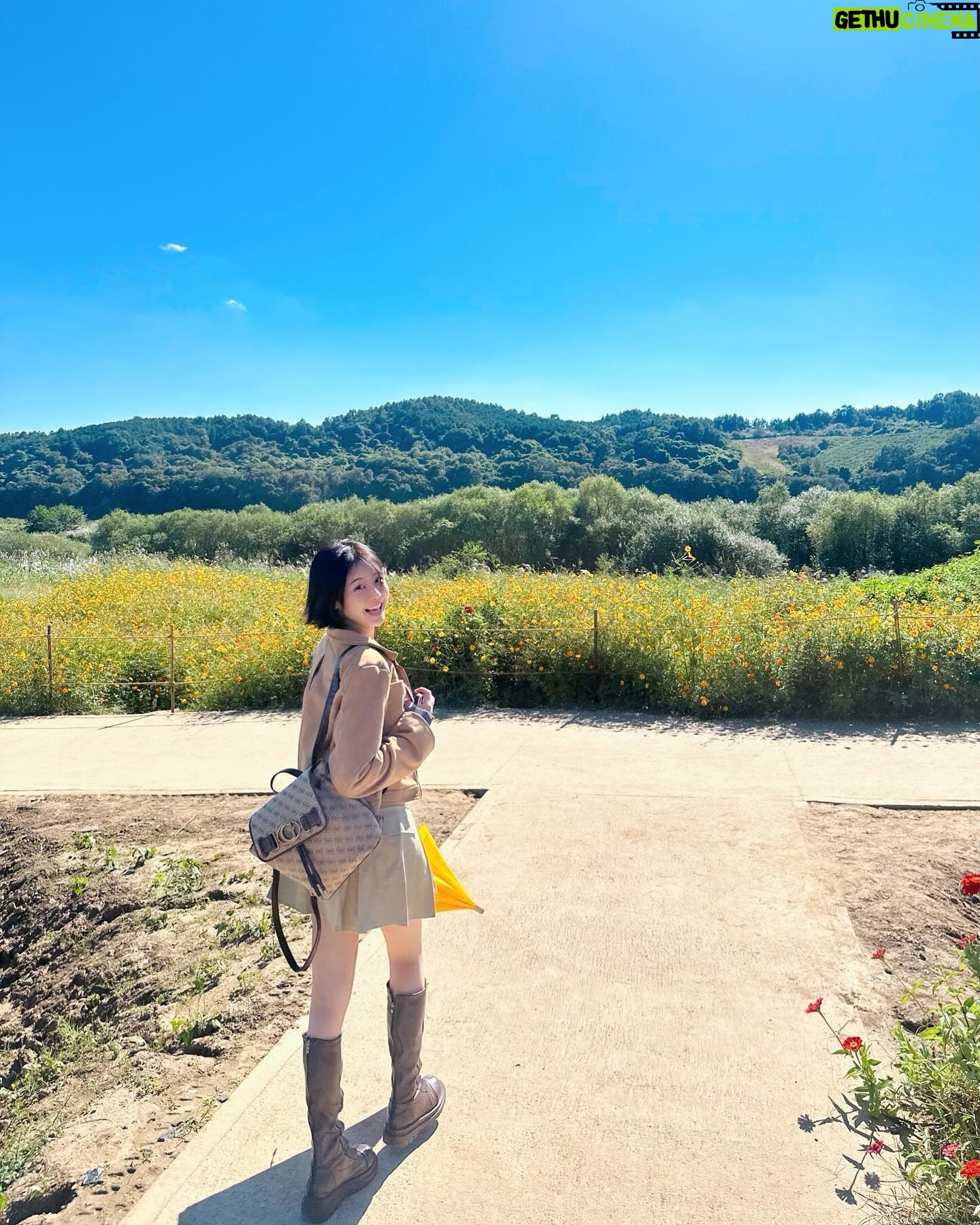 Hwang Se-in - 14.3K Likes - 근황 💛🧡