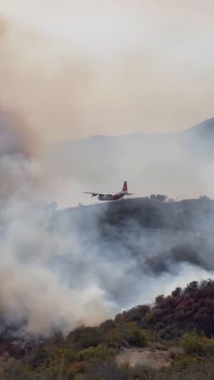 Jaime Pressly Instagram - #thankyou #badass #pilots #firefighters #losangeles #fire #pacificpalisades #hollywood #pasadena #altadena #truegrit #love #respect #gratitude