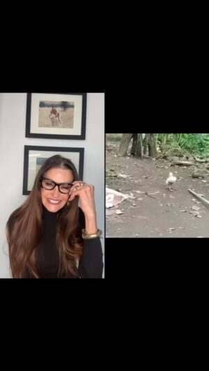 Janice Dickinson Instagram - Take notes people! 

#duckwalk #runwaywalk #modelreview #modelwalk #judgingwithjanice