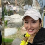 Janis Chan