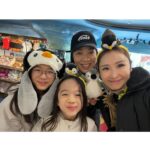 Janis Chan