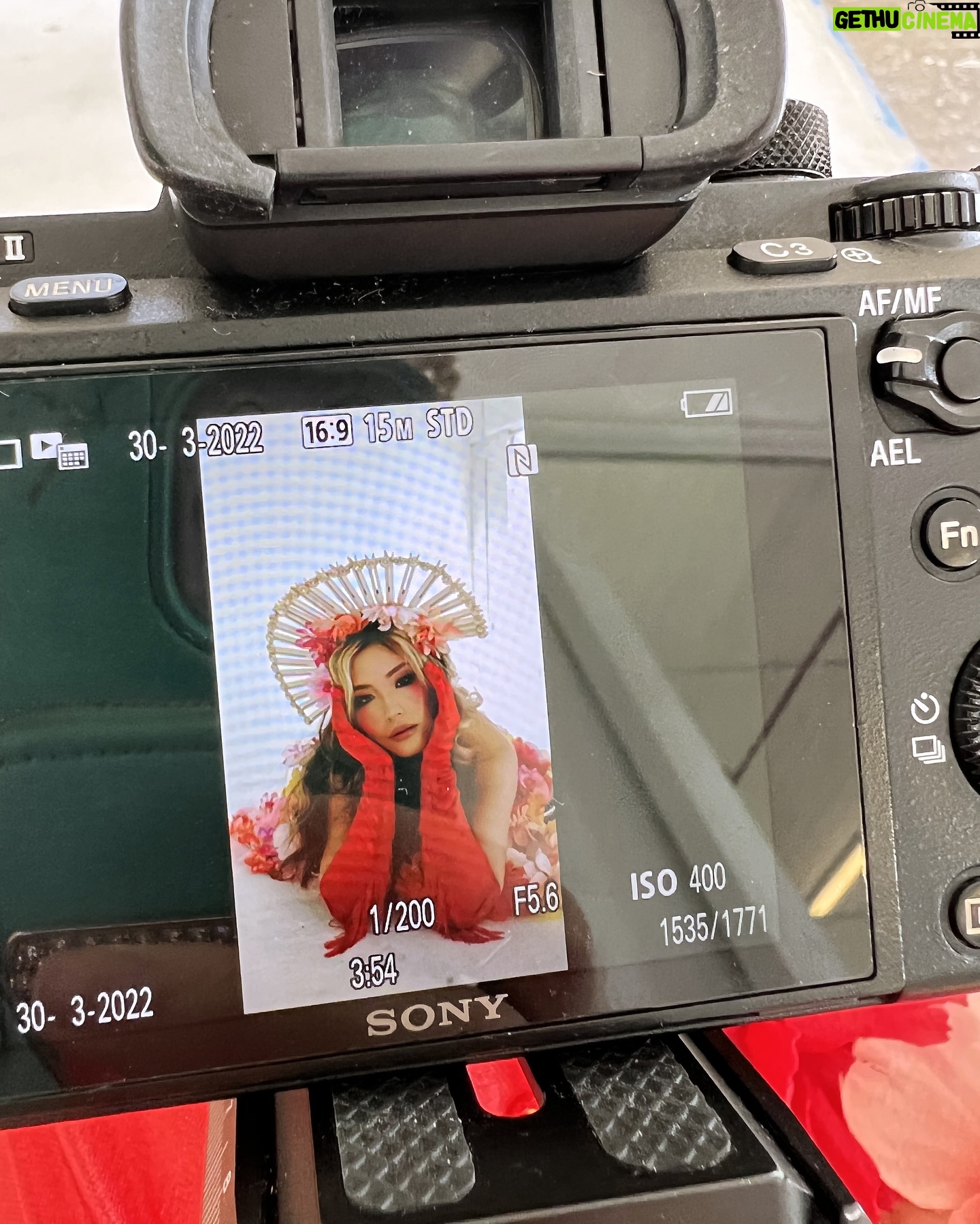 Jarry Lee - 79.5K Likes - happy lunar new year aka now a socially acceptable time to ~be a snake~ 😛🧧🐍
(photographed by @paige.alix @paigealixmedia, makeup by @makeupbyjulian, dress & headpiece by @shopninemuses)