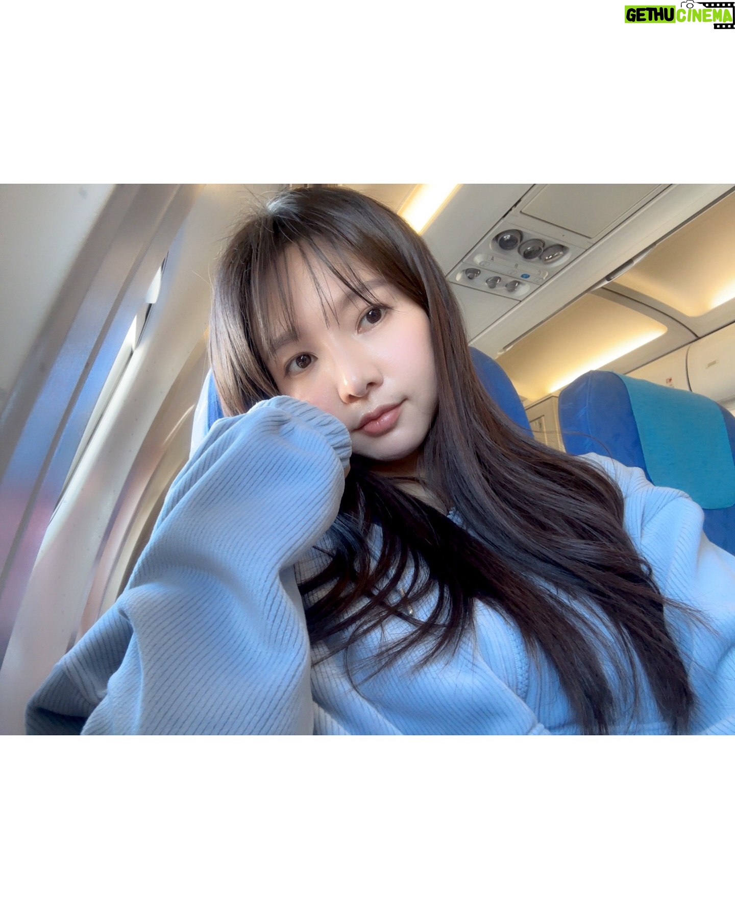 Jei - 1.8K Likes - 행복했던 개엄마🩵