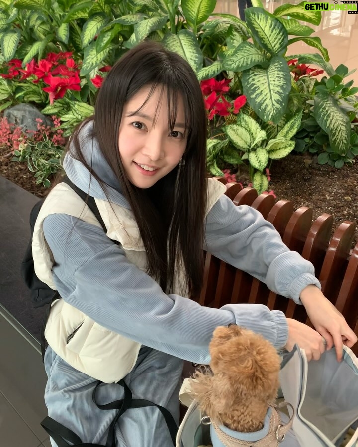 Jei - 1.8K Likes - 행복했던 개엄마🩵