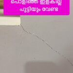 Jinsha Basheer