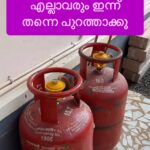 Jinsha Basheer