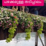 Jinsha Basheer