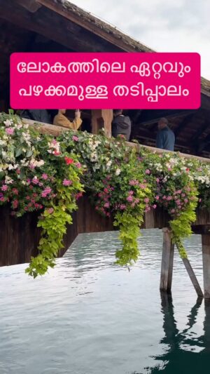 Jinsha Basheer Instagram - ലോകത്തിലെ ഏറ്റവും പഴക്കമുള്ള തടിപ്പാലം കാണാം. 692 വർഷം മുൻപ് പണിതത് 😳

#chapelbridge #switzerland #lucerne #switzerland_vacations #switzerland_destinations #switzerlandtourism #switzerlandwonderland #switzerlandtrip #switzerlandtravel #europe #europetravel