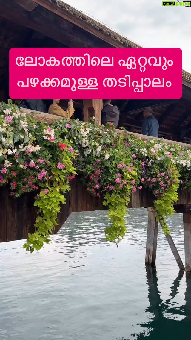 Jinsha Basheer - 376 Likes - ലോകത്തിലെ ഏറ്റവും പഴക്കമുള്ള തടിപ്പാലം കാണാം. 692 വർഷം മുൻപ് പണിതത് 😳
#chapelbridge #switzerland #lucerne #switzerland_vacations #switzerland_destinations #switzerlandtourism #switzerlandwonderland #switzerlandtrip #switzerlandtravel #europe #europetravel
