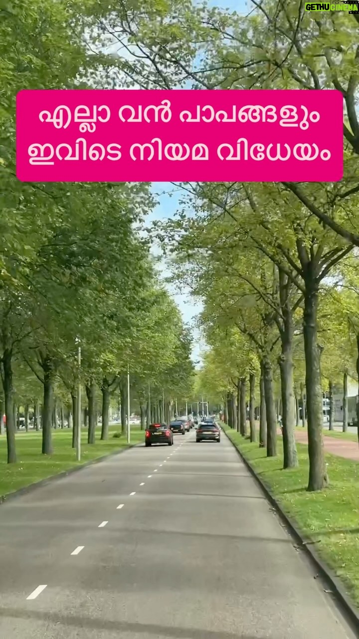 Jinsha Basheer - 385 Likes - എല്ലാ വൻ പാപങ്ങളും ഇവിടെ നിയമ വിധേയം 😳😳
#amsterdam #amstergram #netherlands #europe #europe_vacations #europetour #europetrip #europetravel