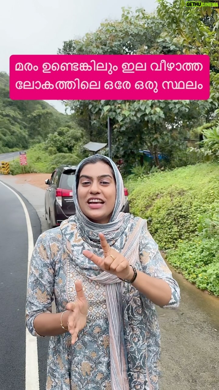 Jinsha Basheer - 63.8K Likes - മരം ഉണ്ടെങ്കിലും ഇല വീഴാത്ത ലോകത്തിലെ ഒരേ ഒരു സ്ഥലം 😳😳
#idukki #kerala #keralatourism #godsowncountry #idukki #ilaveezhapoonchira #idukkigram #instagood #viralreels #viralvideos #trending #trendingnow #trending #vagamon