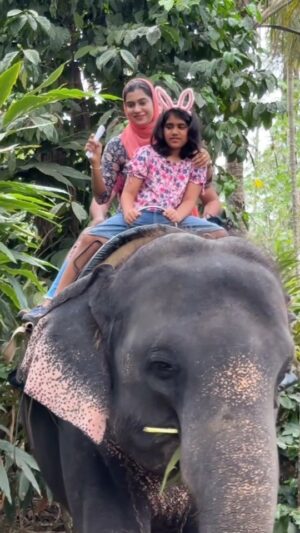 Jinsha Basheer Instagram - കേരളത്തിലെ ഏറ്റവും പ്രായം കുറഞ്ഞ പിടി ആനയുടെ മുകളിൽ ഞാൻ കയറിയപ്പോൾ സംഭവിച്ചത് 😲😲

#elephant #thekkady #thekkadydiaries #thekkadyresorts #thekkadytrip #instagood #viralreels #viralvideos #trendingreels