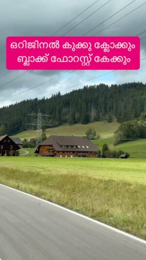 Jinsha Basheer Instagram - ഒറിജിനൽ കുക്കു ക്ലോക്കും ബ്ലാക്ക് ഫോറസ്റ്റ് കേക്കും കിട്ടുന്ന സ്ഥലം 

#germany #germanytourism #germanytravel #germanytrip #europe #europetravel #europetrip #blackforest #blackforestcake #cuckooclock