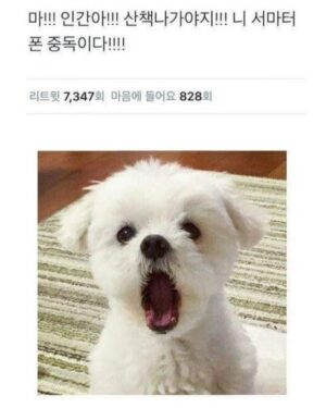 Jo Yu-ri Instagram - 마!!인간아!!니 사진꾸미기 중독이다!!🍓