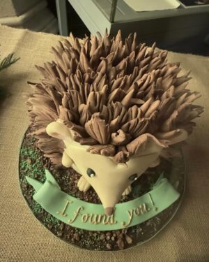 Joely Richardson Instagram - ‘You sweetheart ‘ if you re reading this.My mother has been obsessed ( quite rightly ) with hedgehogs  for years. I ve tried everything to get her one- 🦔 houses, putting food out- nothing. By lucky coincidence I was sitting next to the super woman @julietsear for @childrenwithcanceruk . She showed me her baking masterpieces . Last night she and we got lucky . Thankyou Juliet ♥️#hedgehog #cake #lucky #sweetheart #baking