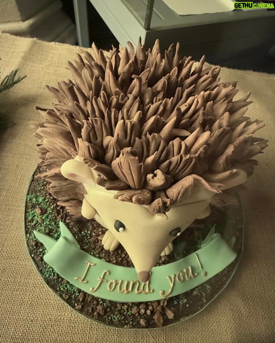 Joely Richardson - 10.7K Likes - ‘You sweetheart ‘ if you re reading this.My mother has been obsessed ( quite rightly ) with hedgehogs for years. I ve tried everything to get her one- 🦔 houses, putting food out- nothing. By lucky coincidence I was sitting next to the super woman @julietsear for @childrenwithcanceruk . She showed me her baking masterpieces . Last night she and we got lucky . Thankyou Juliet ♥️#hedgehog #cake #lucky #sweetheart #baking
