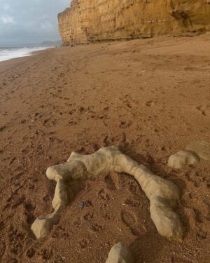 Joely Richardson Instagram - Jurassic Coast for New Year. Best /funniest text I was sent read ‘how can any of us say Happy New  Year’ with a straight face?’…..but, as another said, because we cling to HOPE. Oooohhhh this beautiful planet of ours, these ancient rocks that gently whisper “this too shall pass”. The rocks will remain, witness to our insanities ,but noble to the last x #jurassicworld #jurassic #coast #dorset #shrine #waves #new #hope