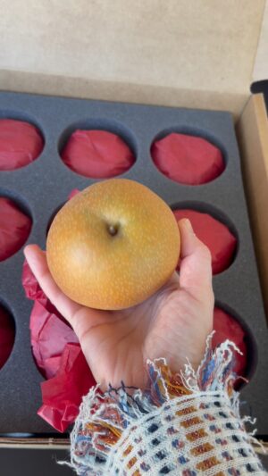 Judy Joo Instagram - Look at this magnificent box of fresh Asian Pears that just arrived from the Subarashii Kudamono farm in Pennsylvania! @subarashiikudamono Honestly, these are the sweetest and most fragrant Asian pears I have ever had.  Even my parents are addicted to them!
The pears are all individually wrapped… just in time for Christmas. 
Some of my chef friends received a gift box of these exquisite fruits— if you’re reading this let me know what you thought!  I love sharing these deliciously special fruits with friends. 
Each pear is so beautiful – like a holiday ornament.
Each pear is tree-ripened, individually curated & hand-packed.  The best gift for the holiday season. 
Easy ordering online: www.WonderfulFruit.com
 .
.
#pears #fruit #chefstalk #cheflife #christmasgift #christmasgifts