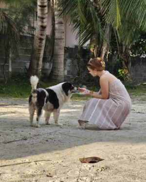 Julia Beautx Instagram - Ich möchte alle süßen Hundis in Thailand klauen, besonders den Akrobaten auf dem Roller 😭