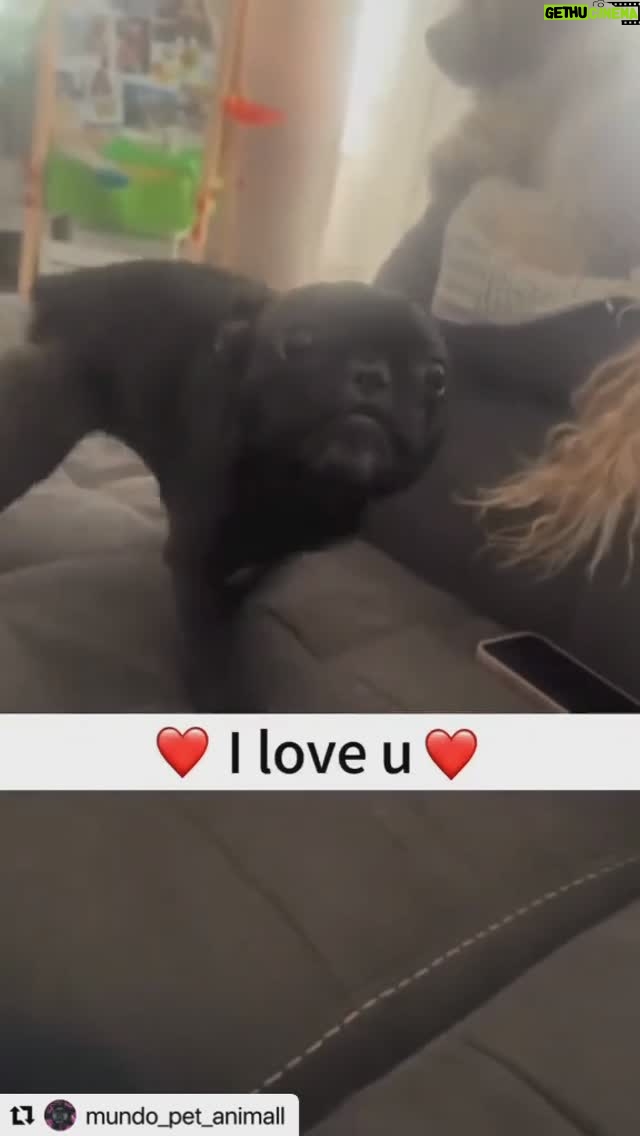 Juliette Lewis - 27.6K Likes - We all need this! #Adoptdontshop plz find your new best friend at any overcrowded pet shelter in your city. #dogrescue