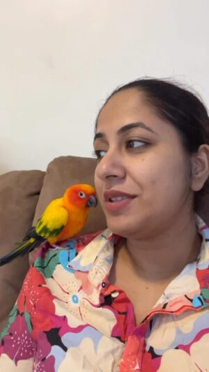 Jyothi Krishna Instagram - 