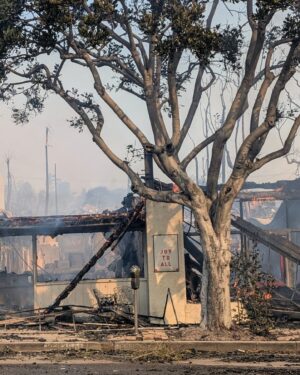 Karla Souza Instagram - The Palisades has been our family’s home for 11 years—a place where my children were born, grew up, and were surrounded by the love and care of our wonderful neighbors and this incredible community. To see it now, facing such unimaginable devastation, breaks my heart beyond words. Our kids’ schools, our churches, our library—our entire lives as we’ve known them—have been reduced to ashes.

Our hearts are heavy as we navigate the uncertainty and loss these fires have brought to this beloved community. My family and I are safe, and we’re holding everyone affected close in our hearts. Whether you’ve lost a home, a cherished memory, or a piece of the place you love, please know you’re not alone.

This community has always been defined by its resilience and generosity, and I truly believe that same spirit will carry us through this tragedy. To my friends who have reached out and held me tight during this time—thank you. To the brave firefighters and first responders risking everything to protect us, we owe you endless gratitude.

God bless you all. Let’s continue to show up for one another—with hope, love, and unity leading the way. ❤️