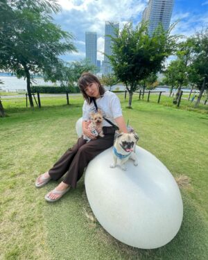 Kayo Noro Instagram - 2人🐶が愛おしすぎて。
全ては2人の為に頑張りました😆w
・
今年2024年は本当に沢山のお仕事をさせていただき、本当に沢山の素晴らしい経験をさせていただきました。
お仕事をくださった皆様ありがとうございました。
私のお仕事は皆さんに色々な意味で楽しんでいただく仕事だと思っています。
皆さんが楽しんでくださっていたらとても嬉しいです。
・
自分の成功も失敗も何事も最後には楽しめるように🙇🏻‍♀️
を目標に生きております。そしてお仕事頑張ります。
・
今年は特に、沢山応援していただきありがとうございました。
・
良いお年をお迎えくださいませm(_ _)m
・
・
またすぐ新年の挨拶しますねw😝
・
・
・
最後の写真ですが、、、わたくしが隣に並んだチップに似てるなと（勝手に思ってましてすみませんが）思いましたので載せてみましたw
特に意味はありませんが。
2人🐶の写真はいつも沢山ありますが、厳選してみました♡
最後は2枚連続のクリスマスの写真ですが、2人の寄り添い方が可愛かったので2パターン❤️
両親にも沢山お世話になりましてね🐶
ありがたいです本当に❤️ありがとうと。
・
・
#ヨークシャーテリア 
#ヨーキー
#ヨークシャテリア 
#パグペキ
#パグペキニーズ
#パグペキニーズmix