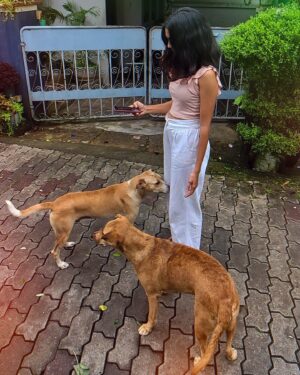 Keerthana Sreekumar Instagram - a random assortment