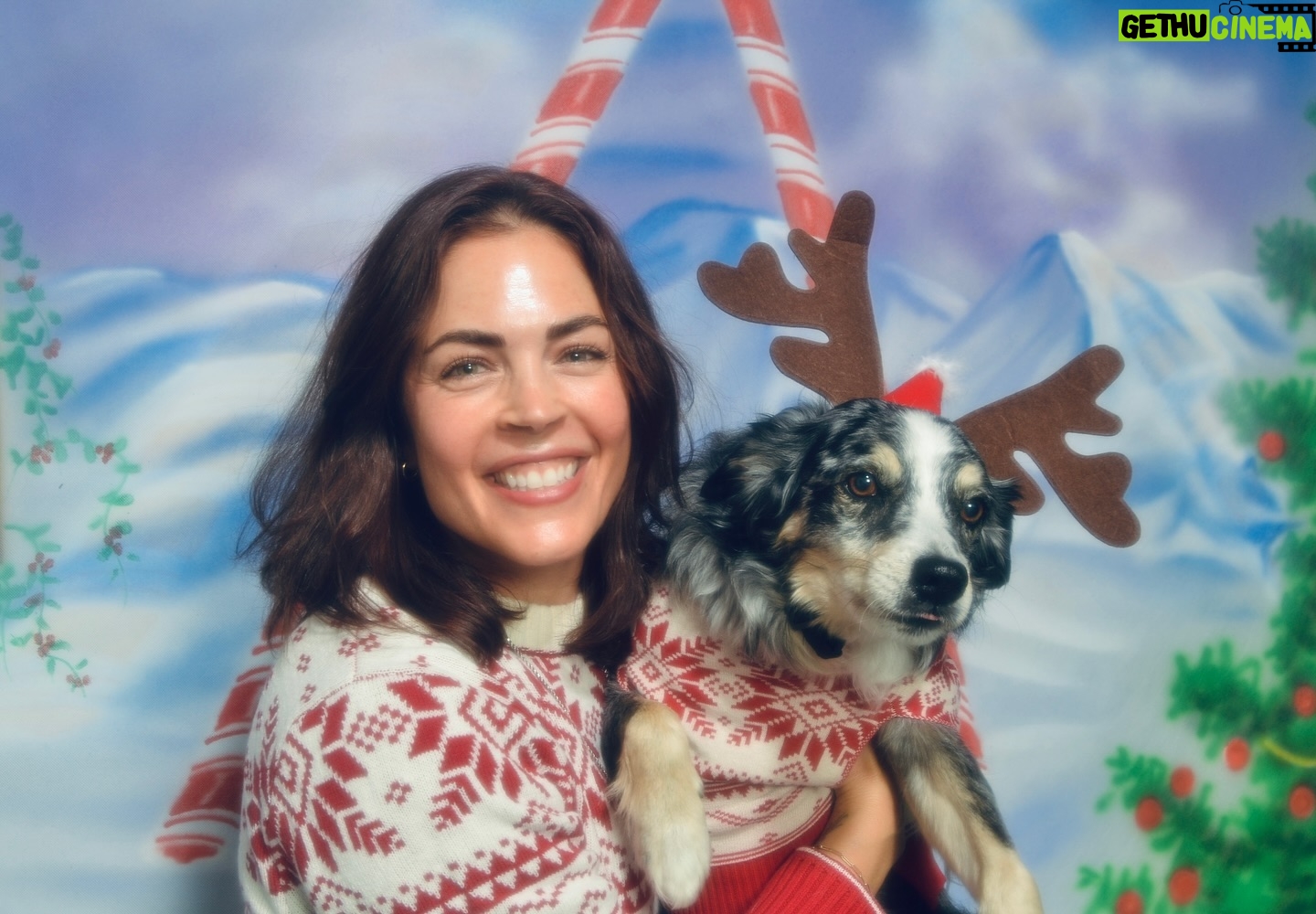 Kelly Thiebaud - 6.3K Likes - The cheesy glamour shot Christmas card you never thought you needed is back! 🤗 Wishing everyone a Merry Christmas and Happy Holidays! #christmascard #traditions #family #whiskeythedog #christmastime 🫶🏼