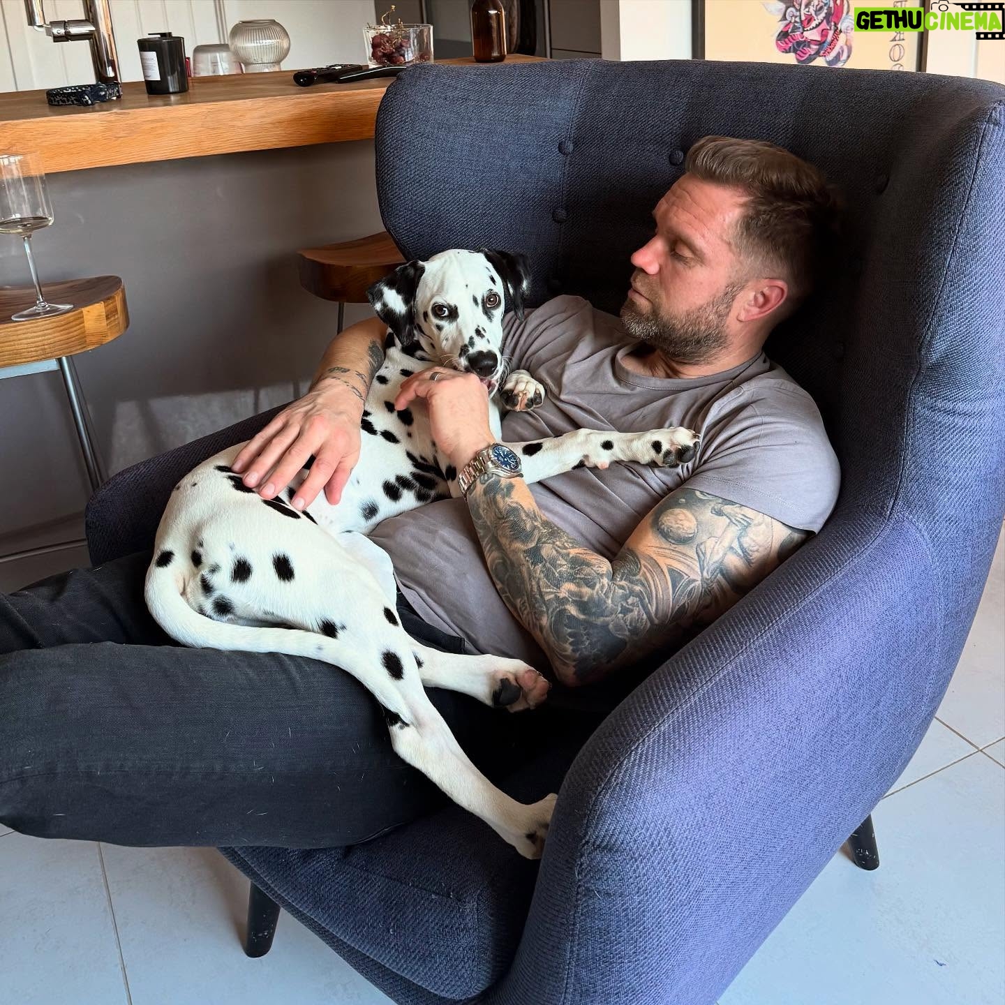 Kerry Ellis - 733 Likes - When you’re conned into getting a puppy… and she’s HUGE after 4 months!!… but still wants to sit on you’re lap….. 🤦🏼♂️🤦🏼♂️