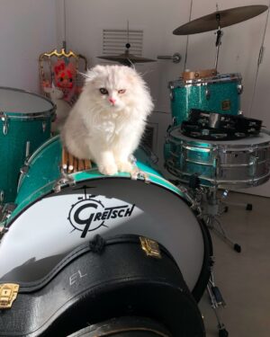 Kesha Instagram - Carl my little chicken 
You really broke my heart this time. 

I’ll see you in the next life my baby boy

God really outdid himself with this creature. 
💔
