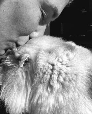 Kesha Instagram - Carl my little chicken 
You really broke my heart this time. 

I’ll see you in the next life my baby boy

God really outdid himself with this creature. 
💔