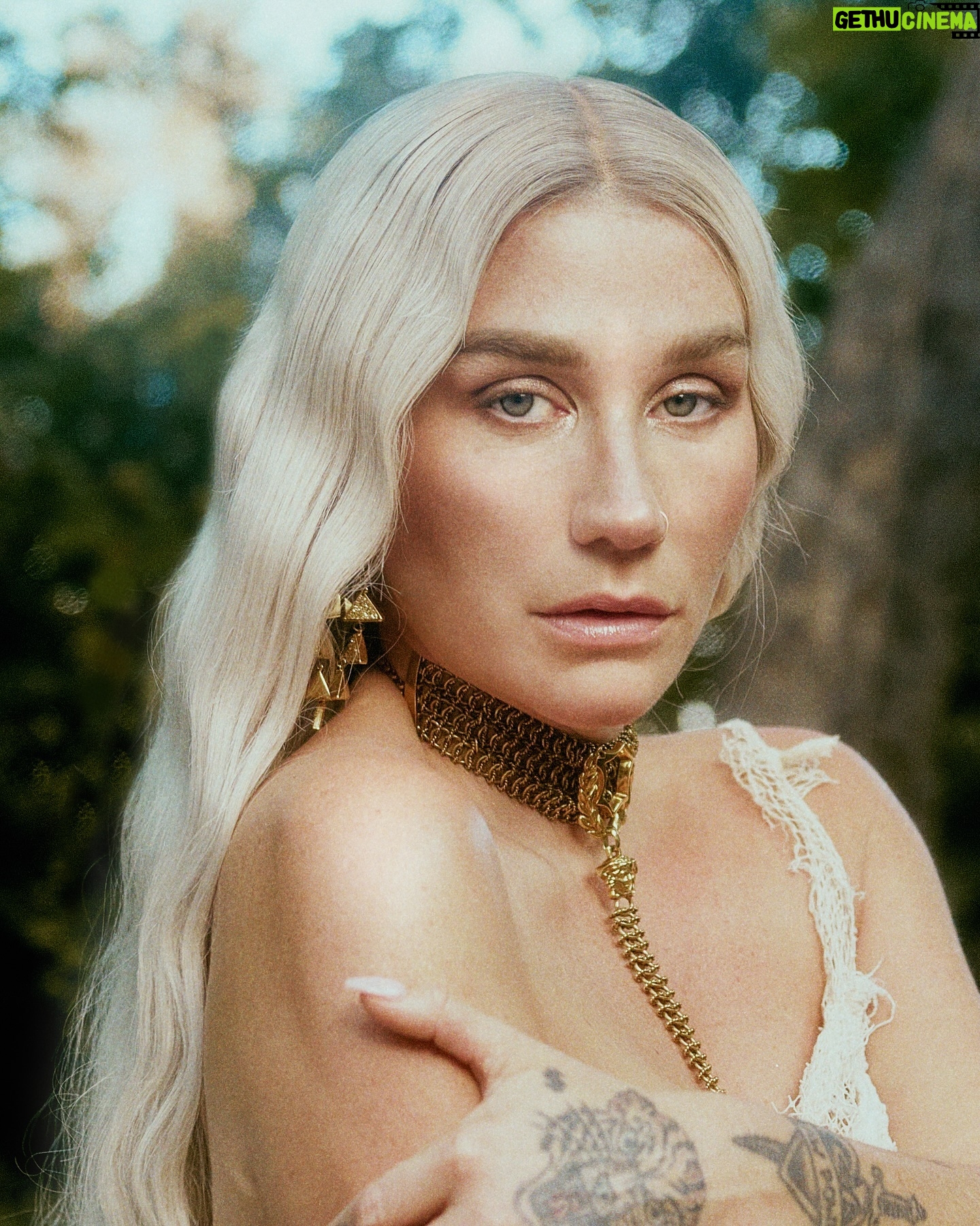 Kesha - 154.1K Likes - I'm a Playmate! @playboy
Director/Photographer: @brooketjames
Gaffers: @michaeltellup @monty_sloan
DP: @raybee8
Photo Assistant: @xingerxanger
Styling: @marta.del.rio @theonly.agency
Styling Assistants: @adriancamison @itsgracetaylor
Hair: @prestonwada
MU: @leo.chaparro
Production Company: @brookejamesproductions
Production Support: @dojohouseco
Playboy: @smileystevens @bicep_barbie @cnmone @kimmyhinojosa @shaynamack @alicenlewis