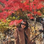 Kim Ok-vin