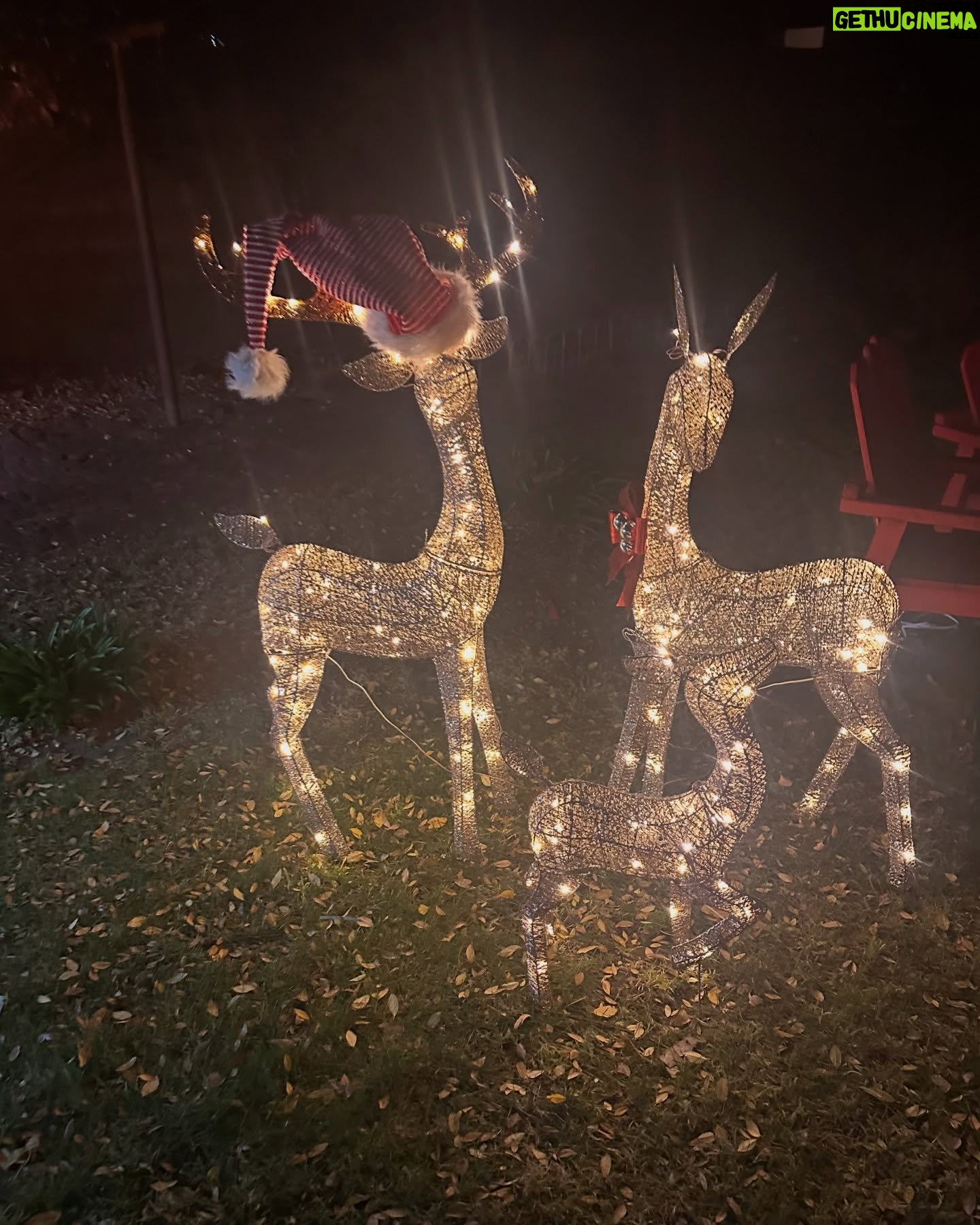 Kimberley Kates - 1.3K Likes - It's the most wonderful time of the year! 🎄❤️ Wishing you a Christmas Eve filled with laughter, love, and all your favorite things!
May the New Year bring you fresh starts, creative sparks, and memories to treasure.
Sending you love, joy, and festive wishes - Kimmie, Panda, & Dove & the Kitties ❤️ ⛄️#MerryAndBright #HappyNewYear #LoveAndJoy ♥️ @lordfridayland @lovegratitudist
