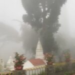 Kushee Ravi