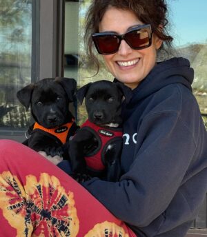 Lisa Edelstein Instagram - Ridiculously cute! My foster pups! @bestfriendsanimalsociety @bfas_la