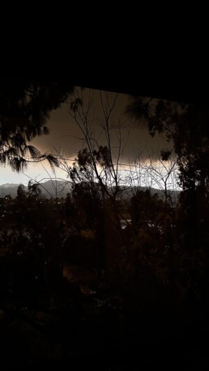 Lisa Edelstein Instagram - We are safe, in a red flag zone but so far no evacuation. Slept a few hours, woke up to a massive black cloud of smoke blocking out the sun. Sad day in Los Angeles. I hope everyone and their beloveds both human and animal have found safety somewhere.