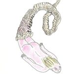 Lisa Hanawalt