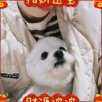 Liu Yase